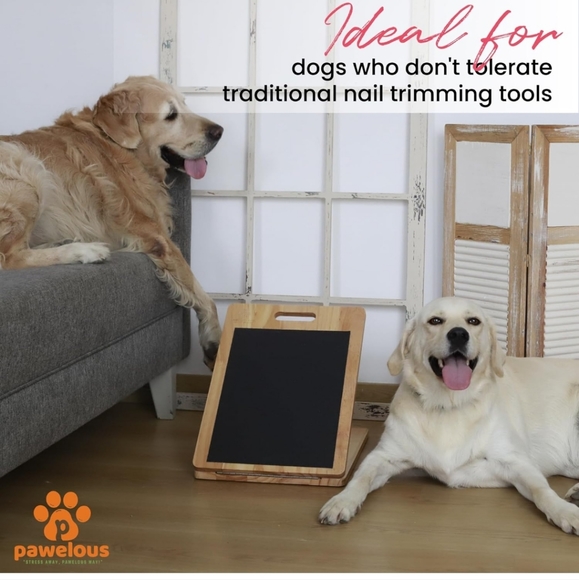 Dog Scratch Pad for Nails/ Nail Scratch Board  - Picture 4 of 6